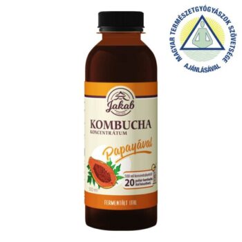 Viva Natura Kombucha koncentrátum PAPAYÁVAL (500 ml)