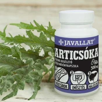 JAVALLAT - Articsóka