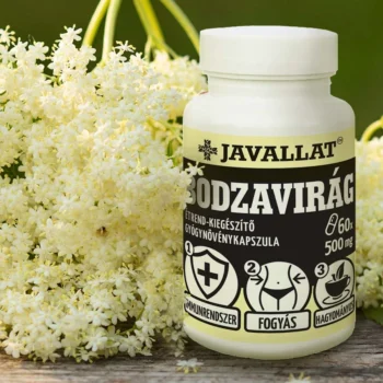 JAVALLAT - Bodzavirág