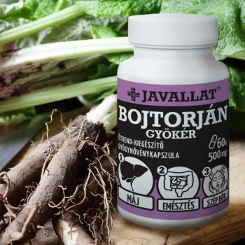 JAVALLAT - Bojtorjángyökér