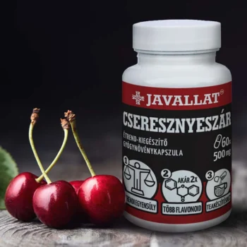 JAVALLAT - Cseresznyeszár