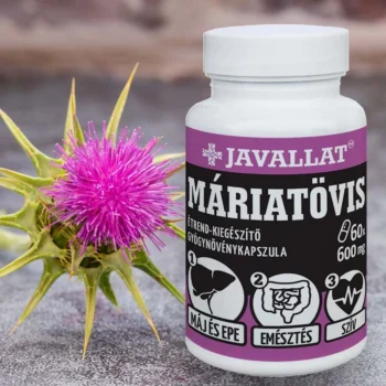 JAVALLAT - Máriatövis