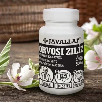 JAVALLAT - Orvosi zilíz gyökér és levél