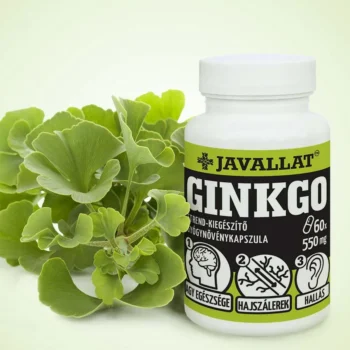 JAVALLAT - Ginkgo