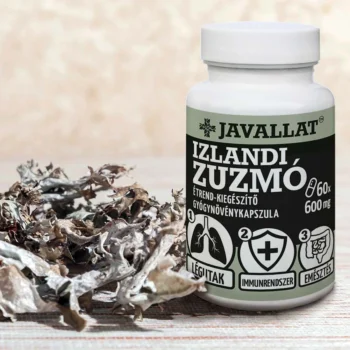 JAVALLAT - Izlandi zuzmó