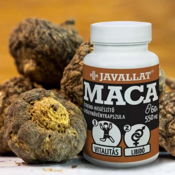 JAVALLAT - Maca