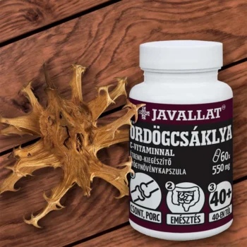JAVALLAT - Ördögcsáklya C-vitaminnal